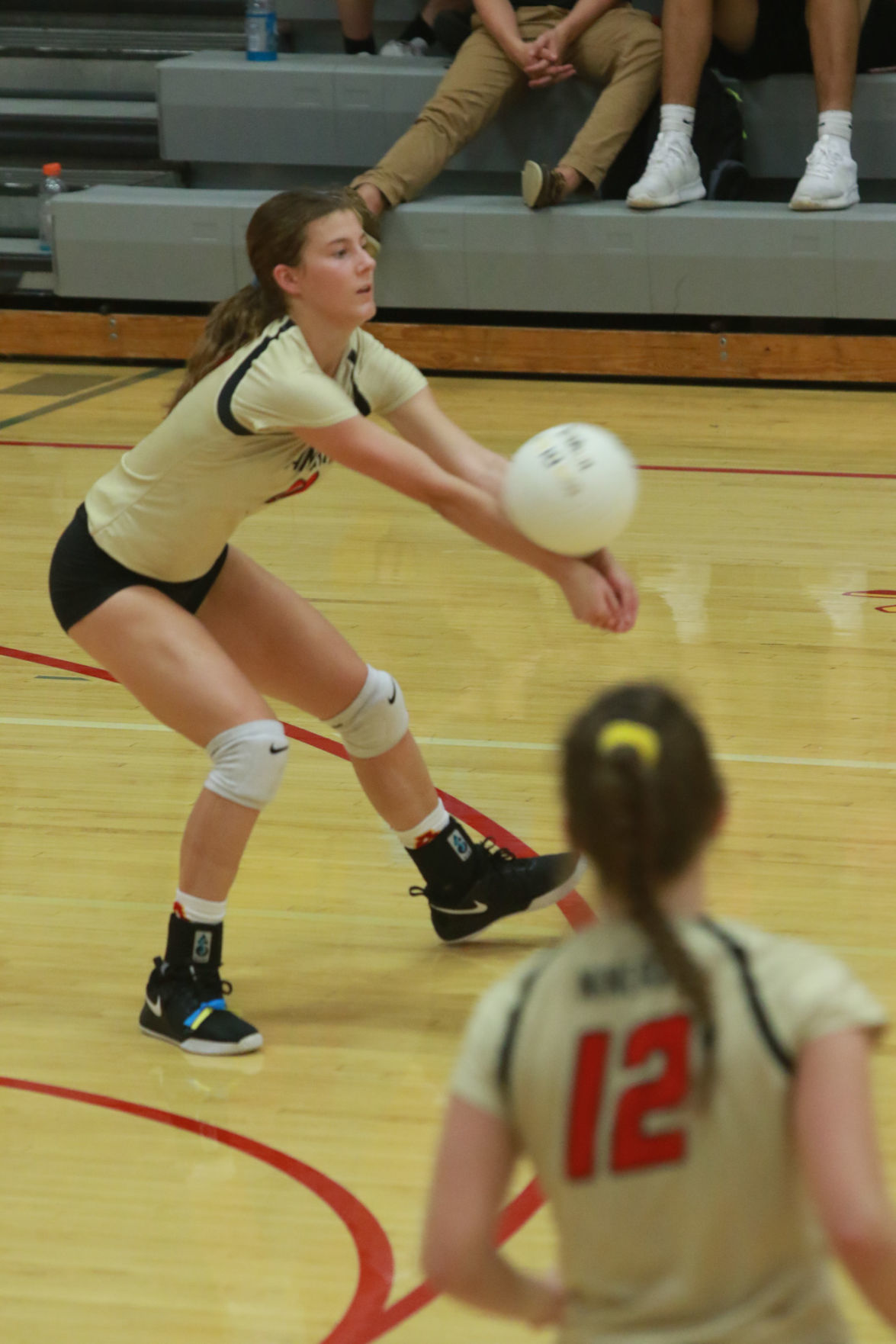 Gallery: Girls volleyball - Wheeler at Andrean